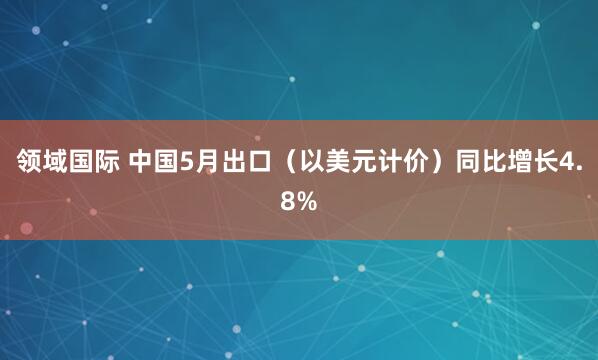 领域国际 中国5月出口（以美元计价）同比增长4.8%