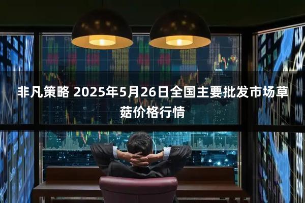 非凡策略 2025年5月26日全国主要批发市场草菇价格行情