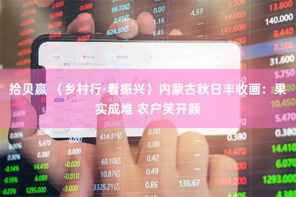 拾贝赢 （乡村行·看振兴）内蒙古秋日丰收画：果实成堆 农户笑开颜
