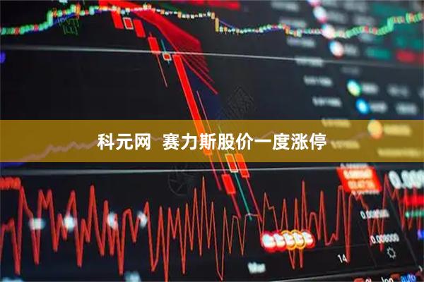 科元网  赛力斯股价一度涨停